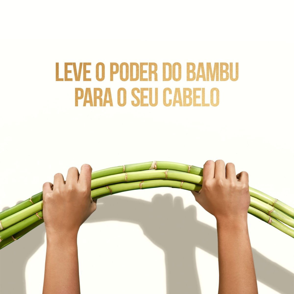 Shampoo Pantene Bambu Nutre Cresce 510ml — imagem 3 | Drogaria Taveira