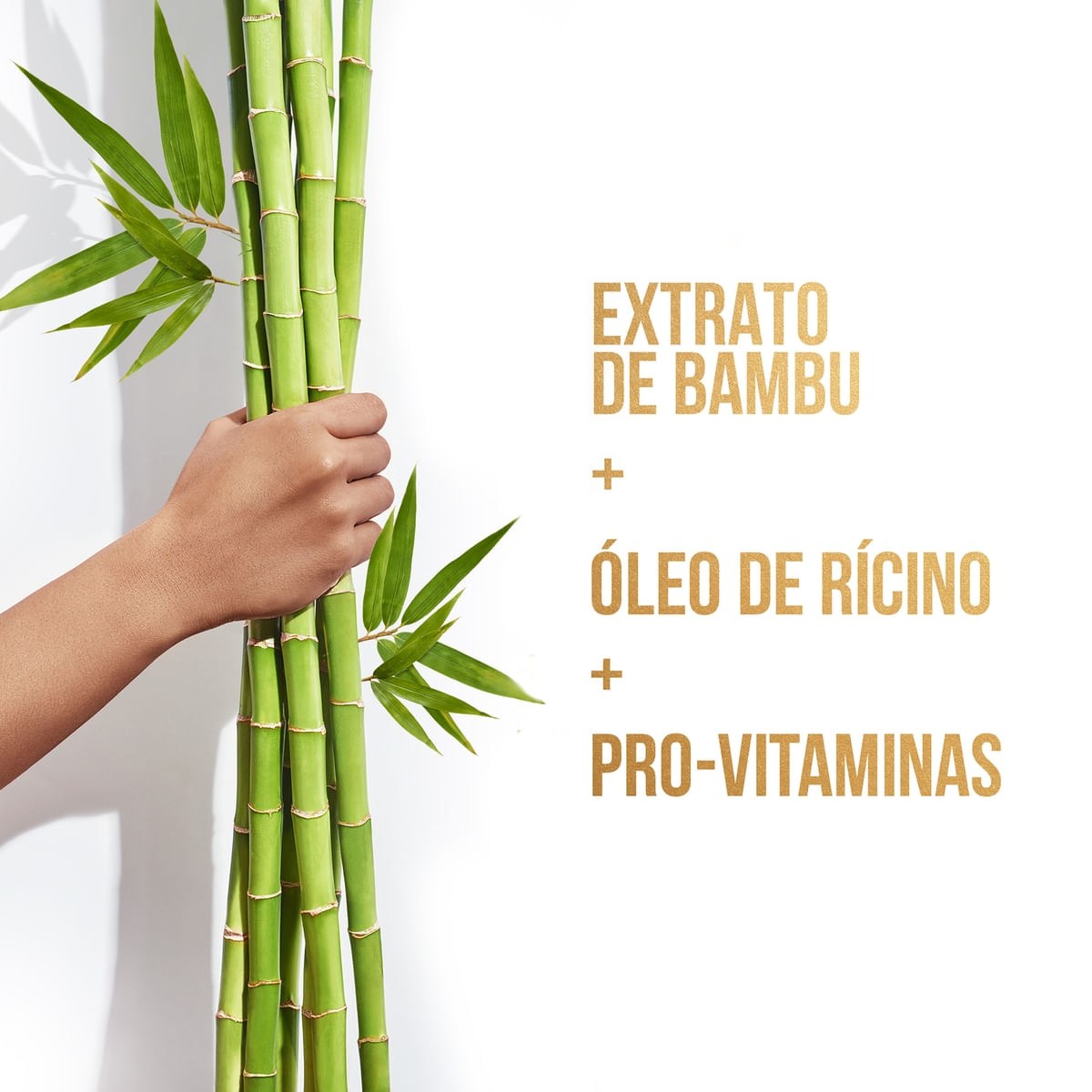 Shampoo Pantene Bambu Nutre Cresce 510ml — imagem 4 | Drogaria Taveira